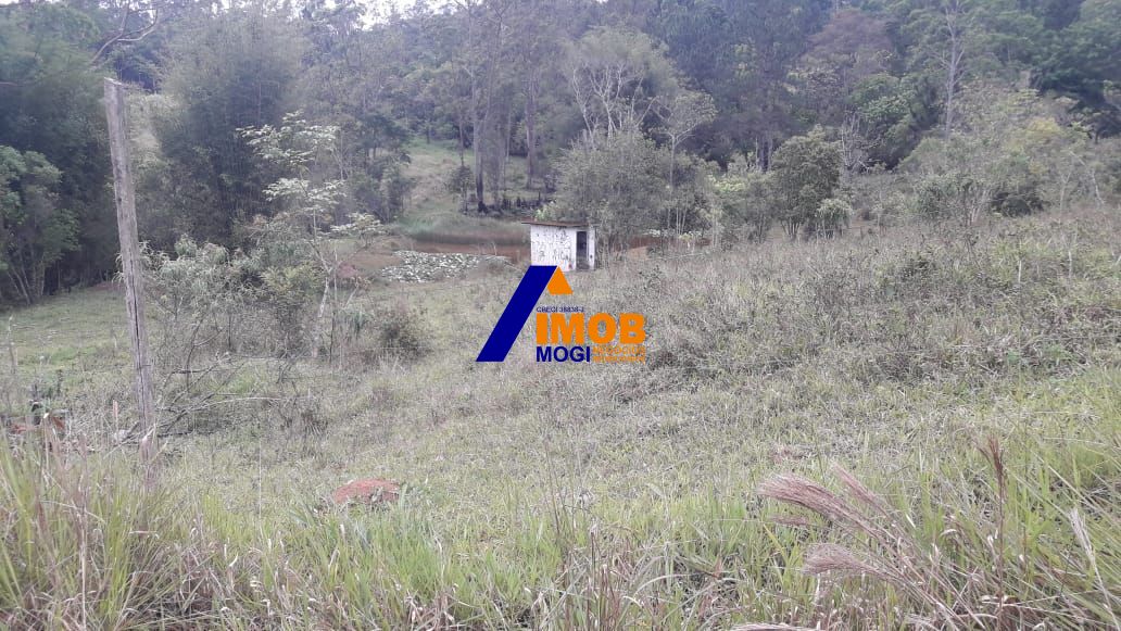 Chácara, 2 quartos, 3 hectares - Foto 6