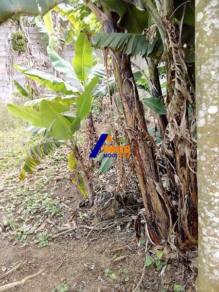 Casa, 3 quartos, 93 m² - Foto 7