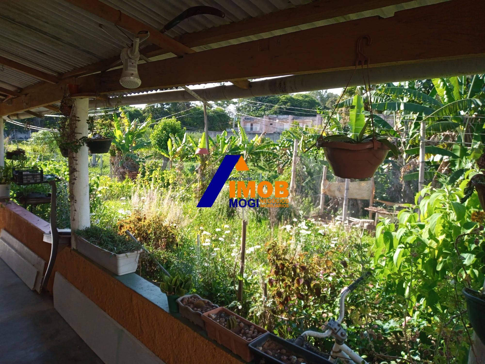 Chácara, 2 quartos, 1580 m² - Foto 6