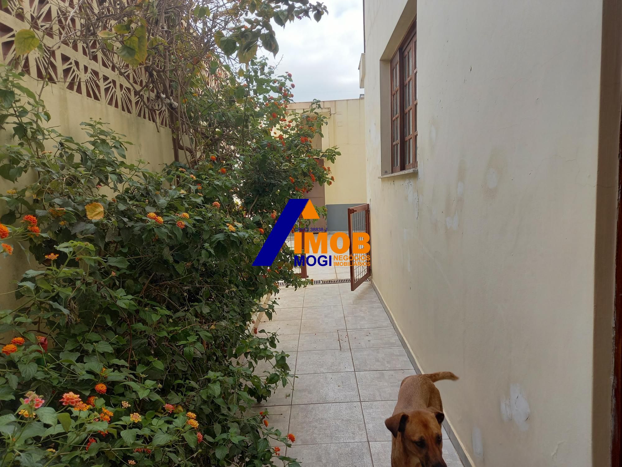 Casa, 3 quartos, 266 m² - Foto 6