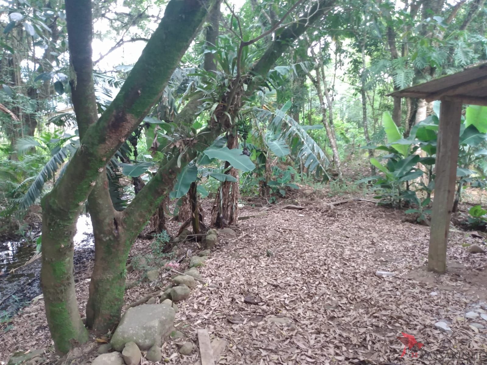 Casa, 2 quartos, 66 m² - Foto 10