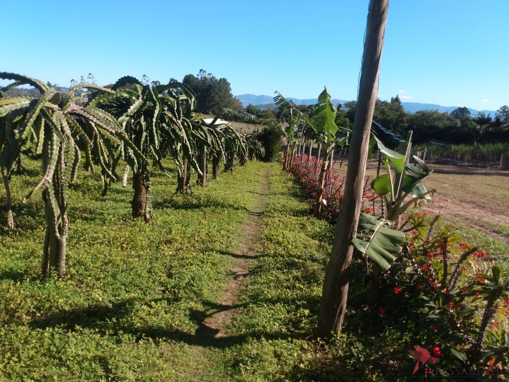 Fazenda à venda com 2 quartos, 121m² - Foto 18