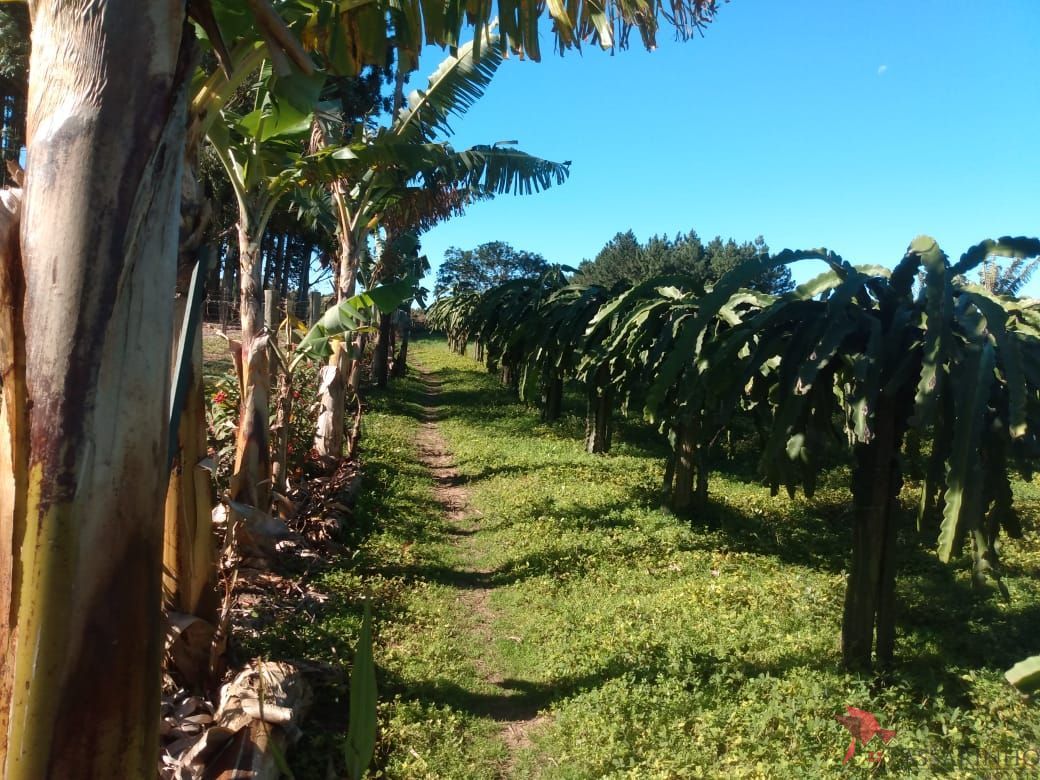 Chácara à venda com 2 quartos, 121m² - Foto 19