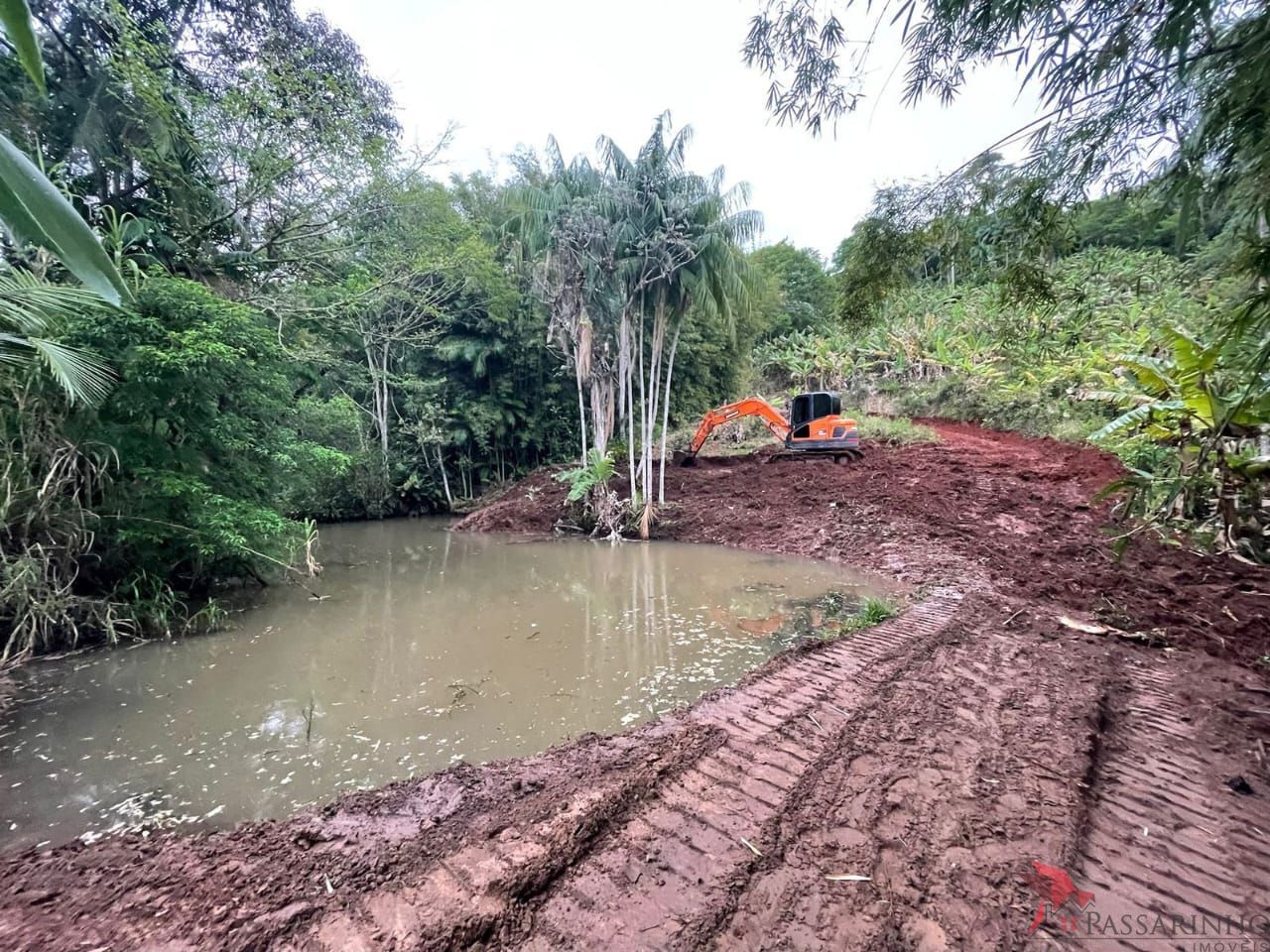 Fazenda à venda com 1 quarto, 171m² - Foto 23