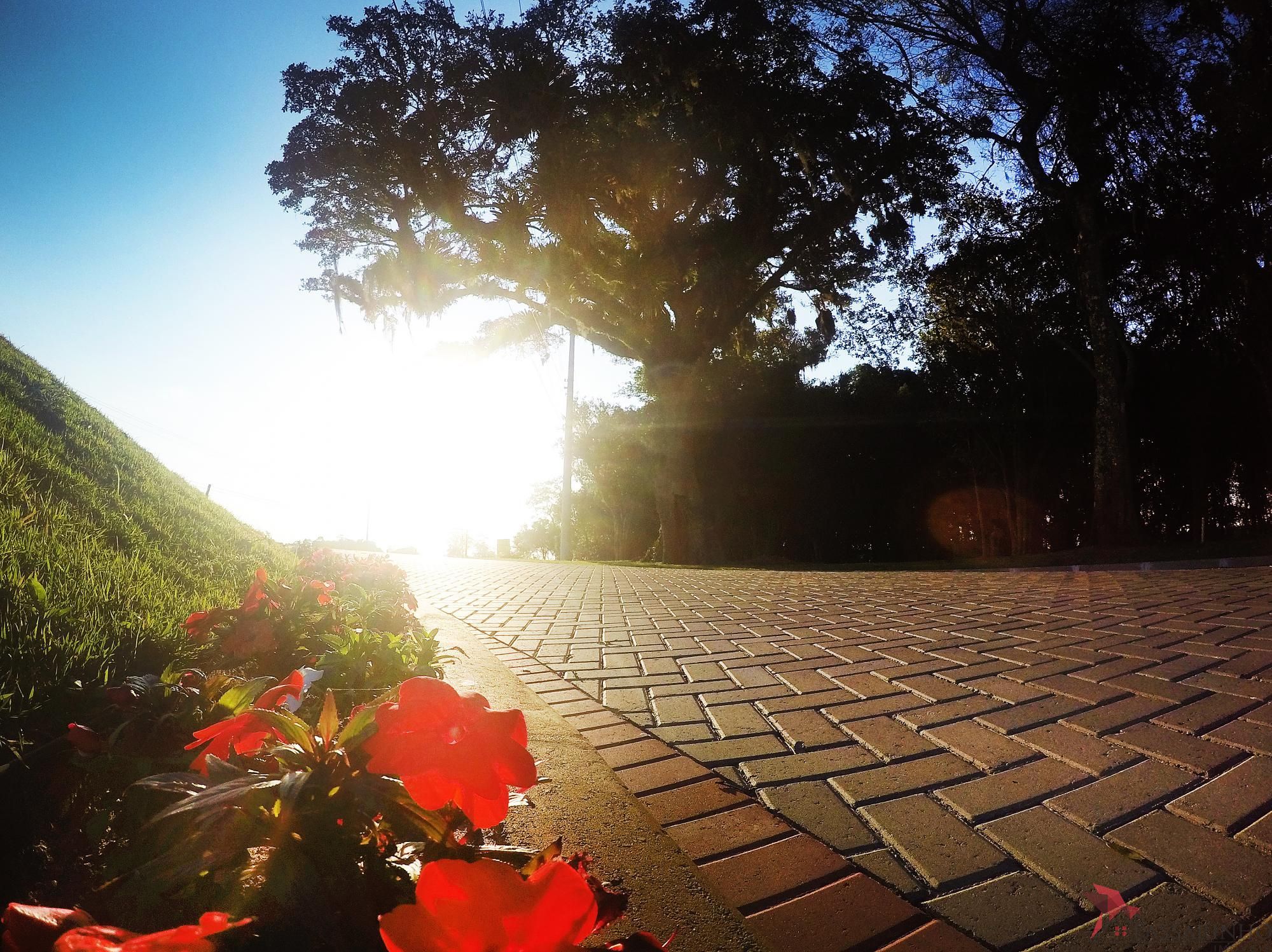 Terreno, 401 m² - Foto 6