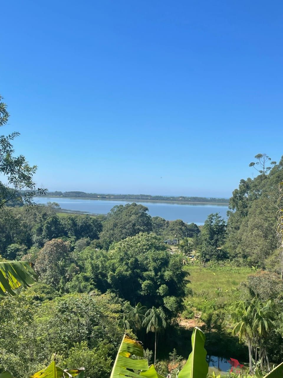 Sítio à venda com 1 quarto, 171m² - Foto 4