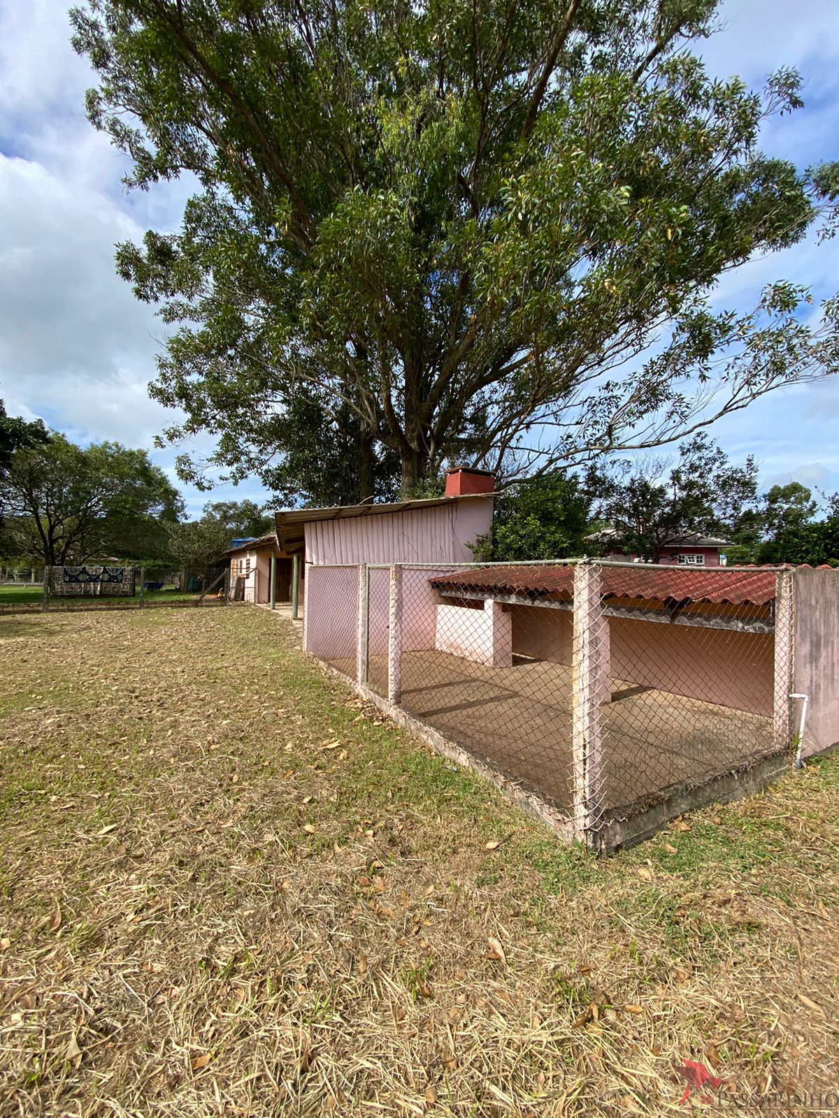 Fazenda à venda com 2 quartos, 60000000m² - Foto 12