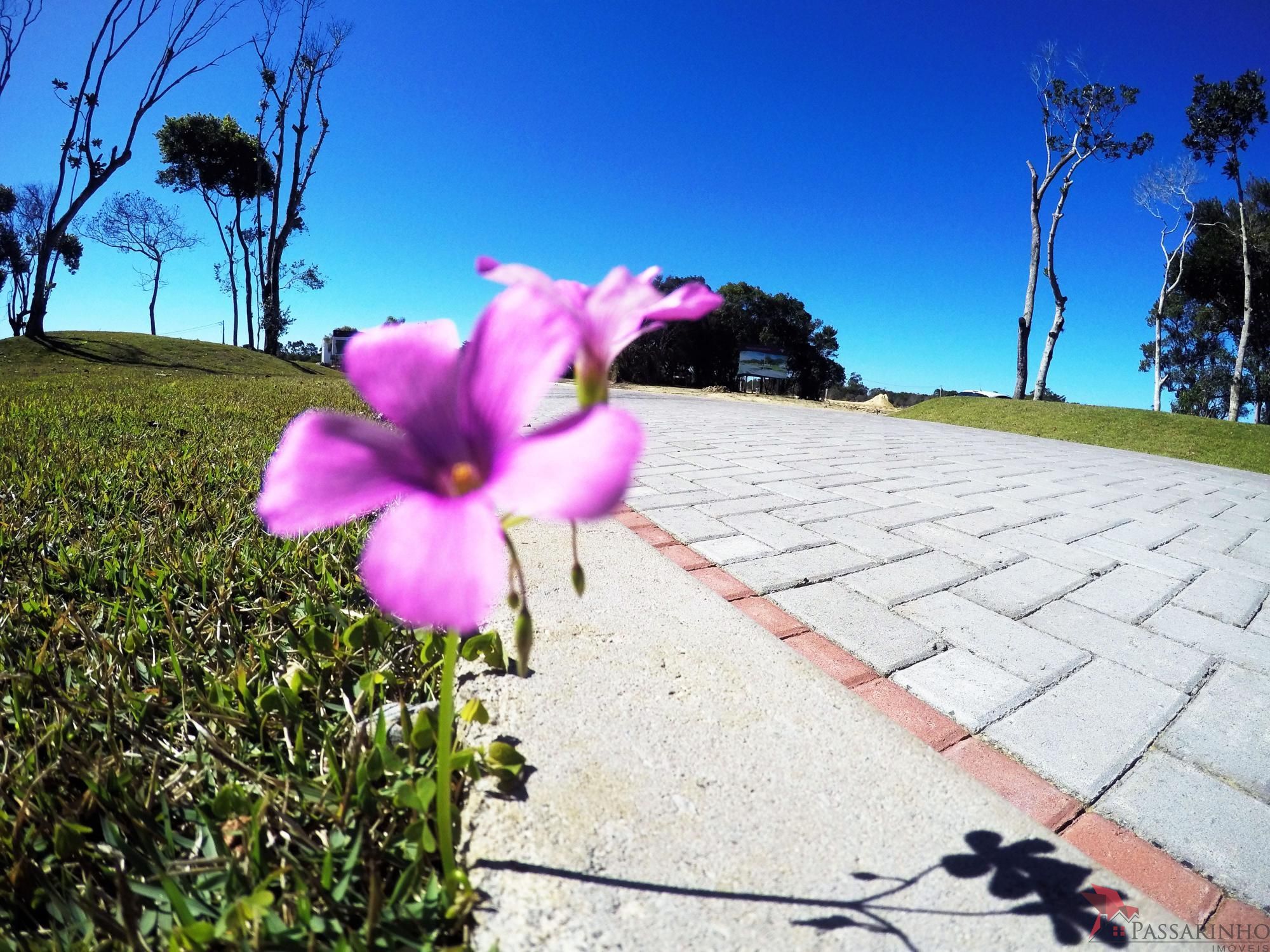 Terreno, 401 m² - Foto 3