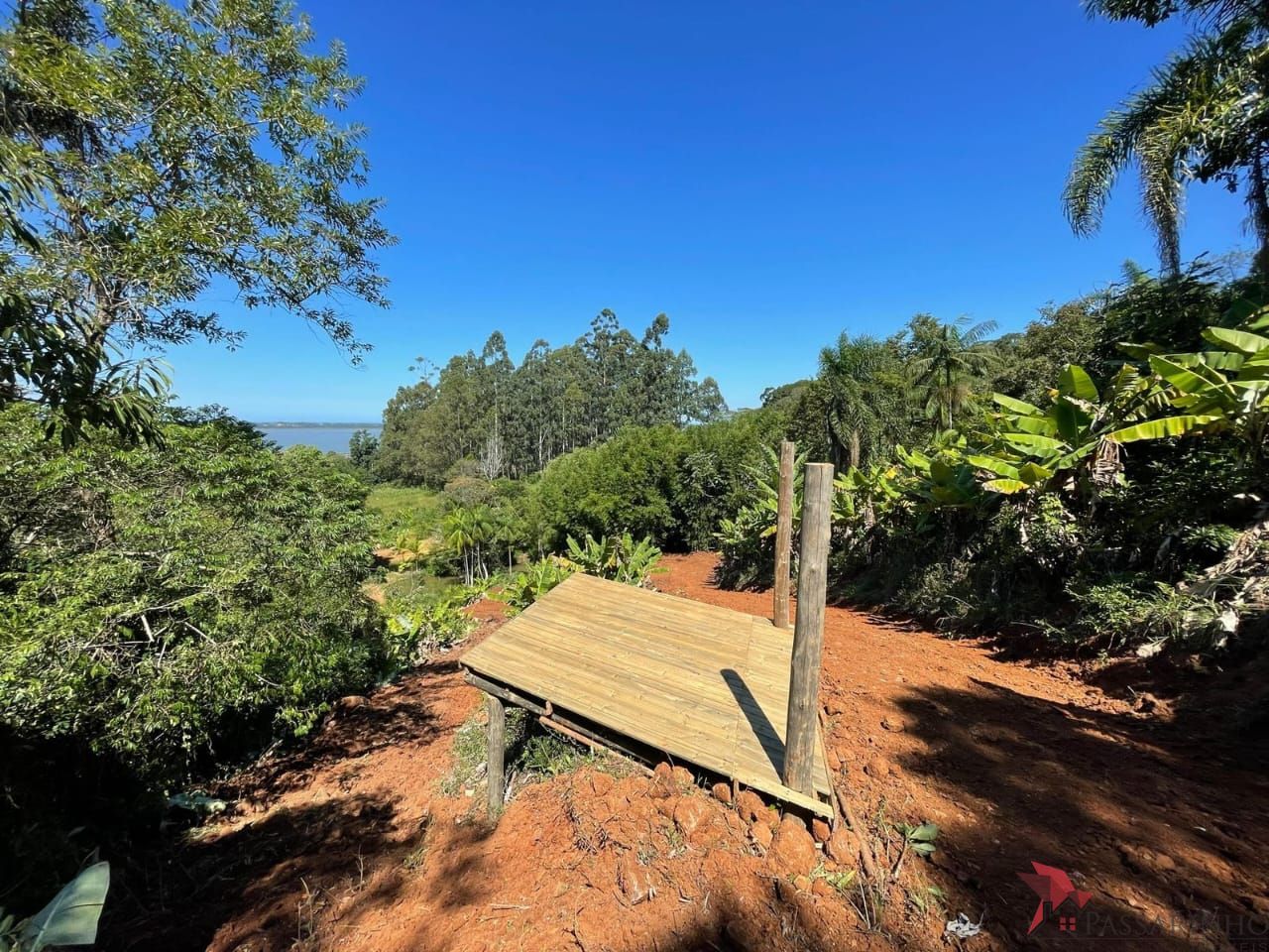 Fazenda à venda com 1 quarto, 171m² - Foto 20