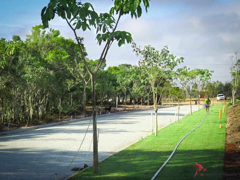 Terreno, 343 m² - Foto 18