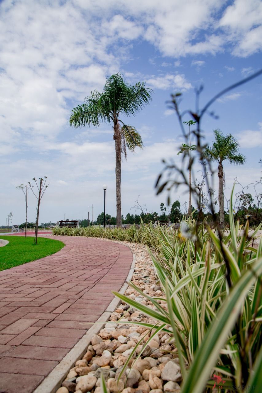 Terreno, 335 m² - Foto 13