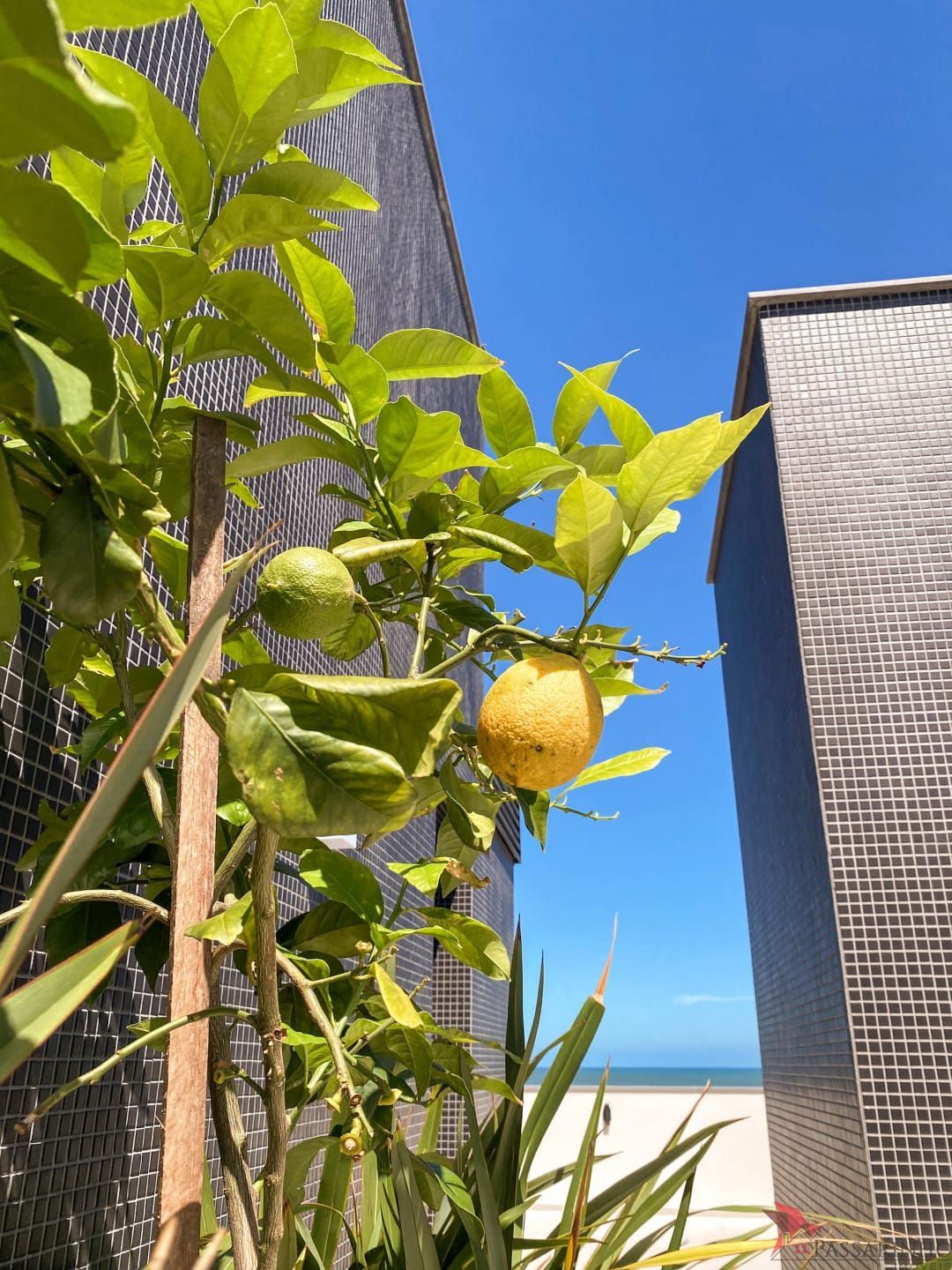 Prédio Inteiro, 44 m² - Foto 10