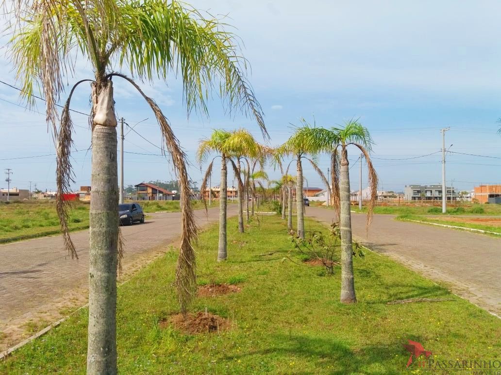 Terreno, 684 m² - Foto 2