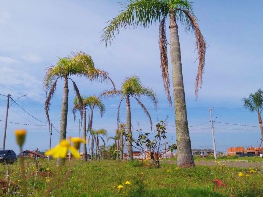 Terreno, 342 m² - Foto 3