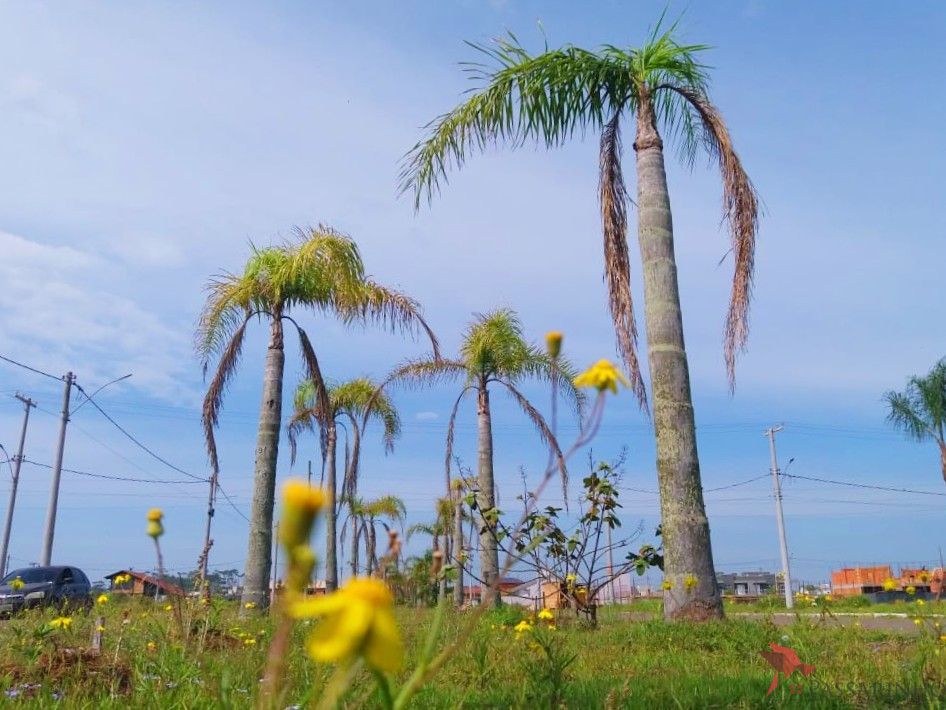 Terreno, 342 m² - Foto 1