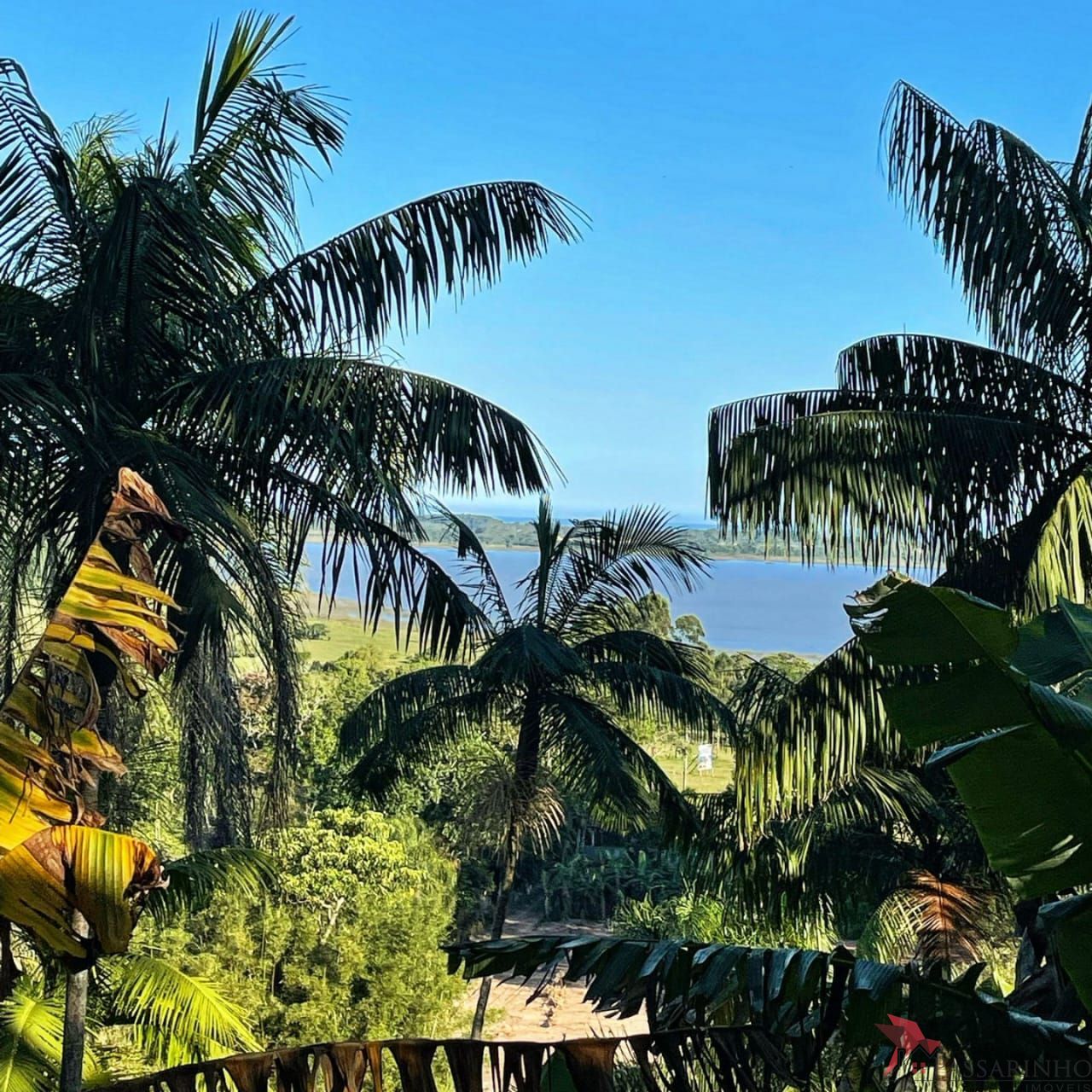 Sítio à venda com 1 quarto, 171m² - Foto 18