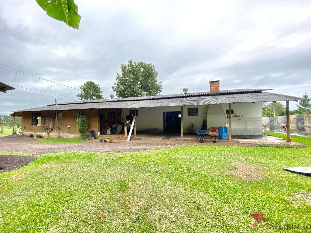Sítio à venda com 2 quartos, 5000m² - Foto 5