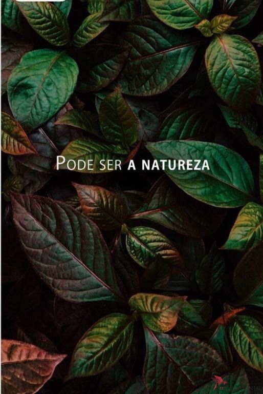 Apartamento, 2 quartos, 66 m² - Foto 20