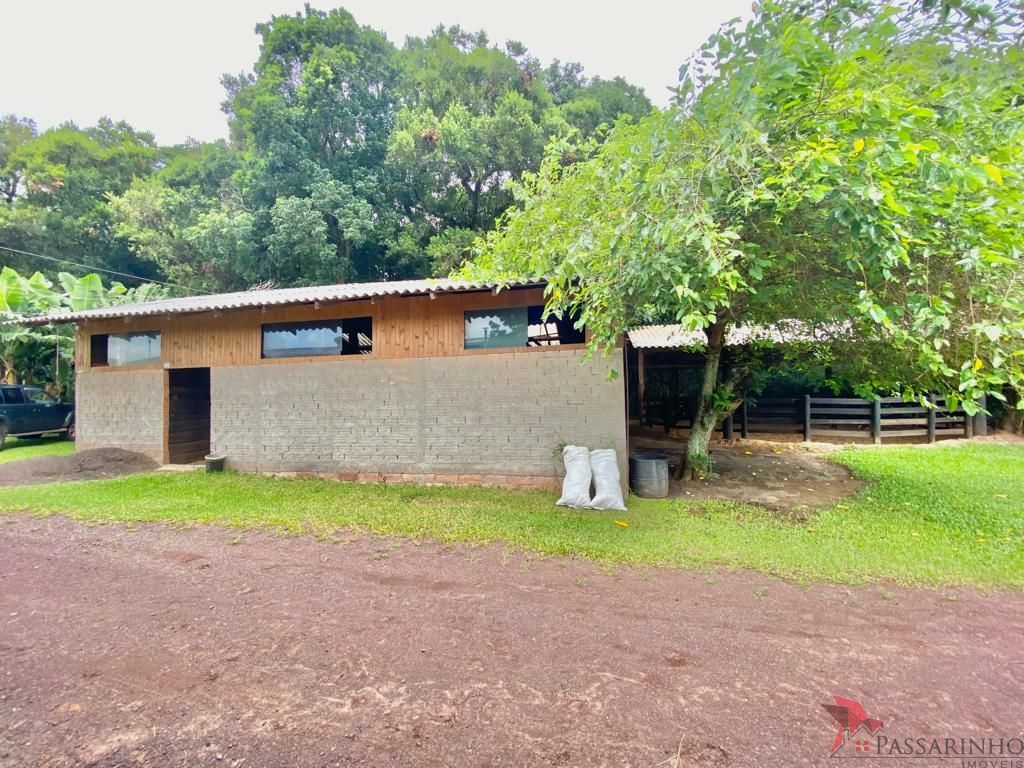 Sítio à venda com 2 quartos, 5000m² - Foto 24