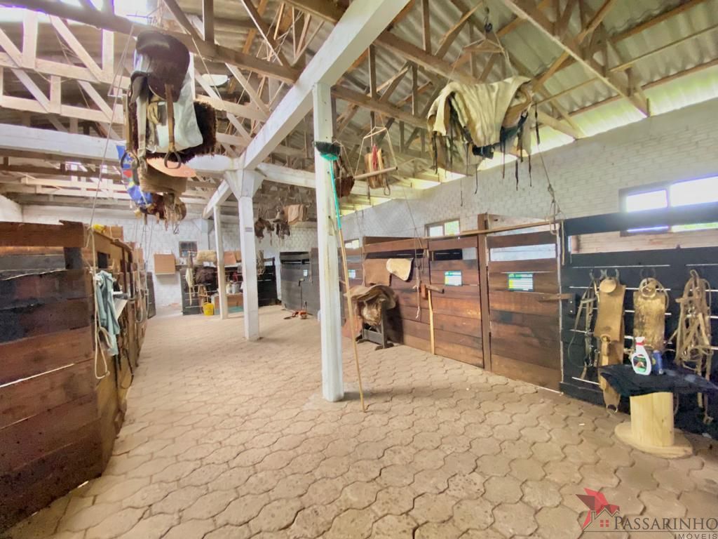 Sítio à venda com 2 quartos, 5000m² - Foto 25