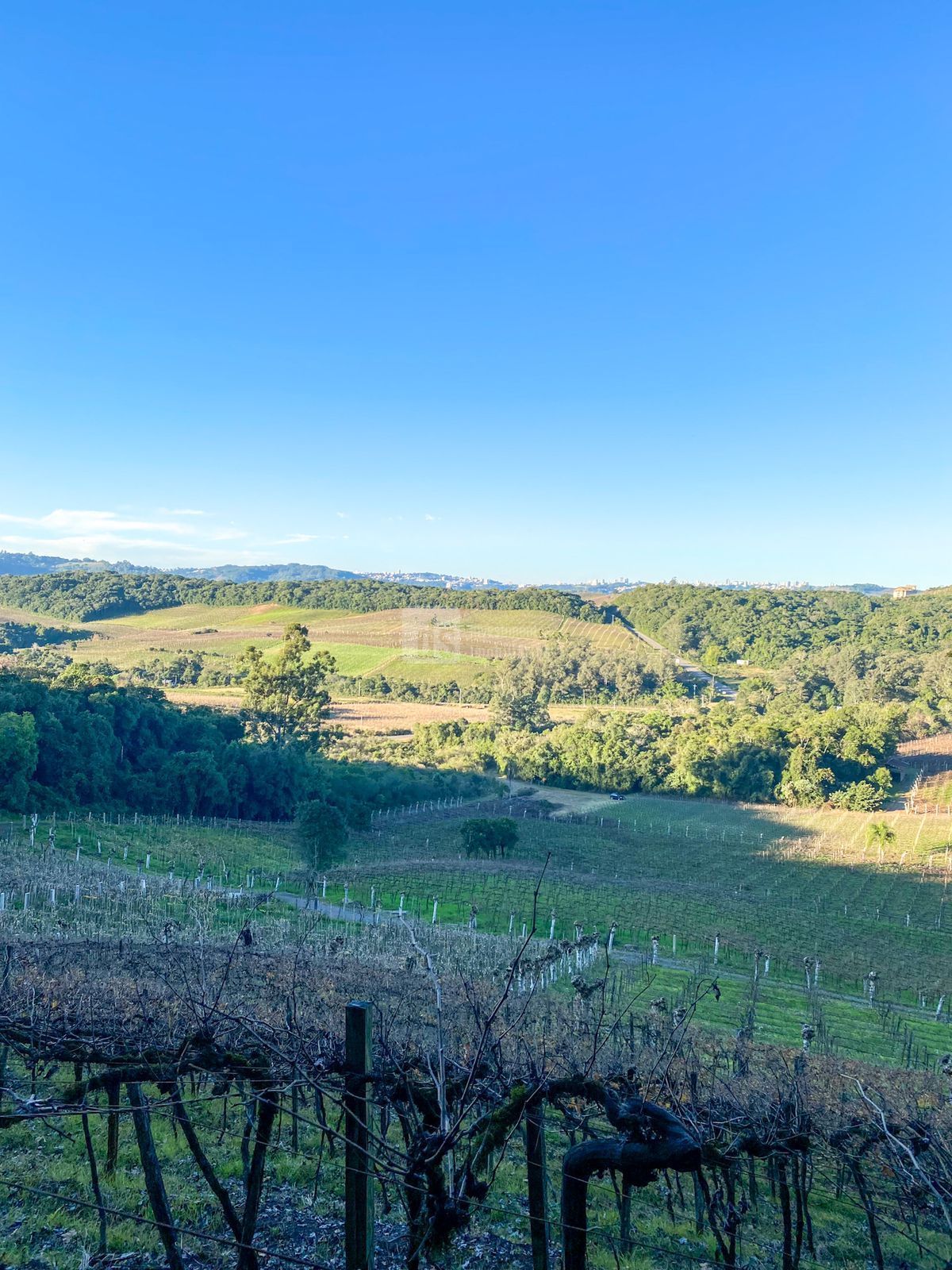 Terreno comercial  venda  no Vale dos Vinhedos - Bento Gonalves, RS. Imveis