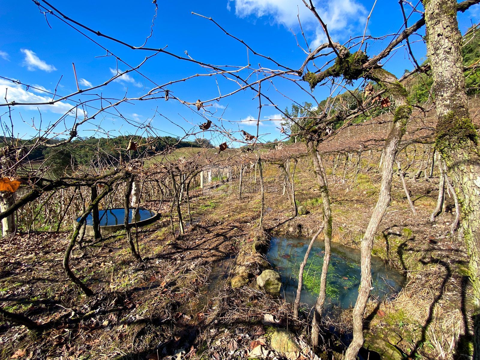 Loteamento e Condomínio à venda, 24000m² - Foto 20