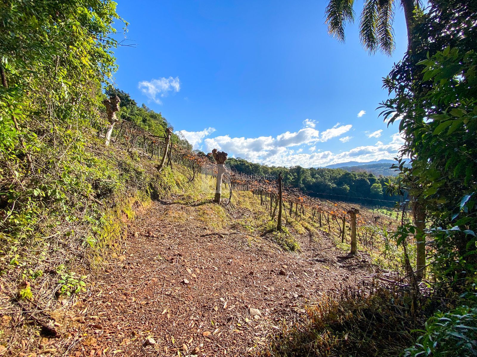 Loteamento e Condomínio à venda, 24000m² - Foto 21