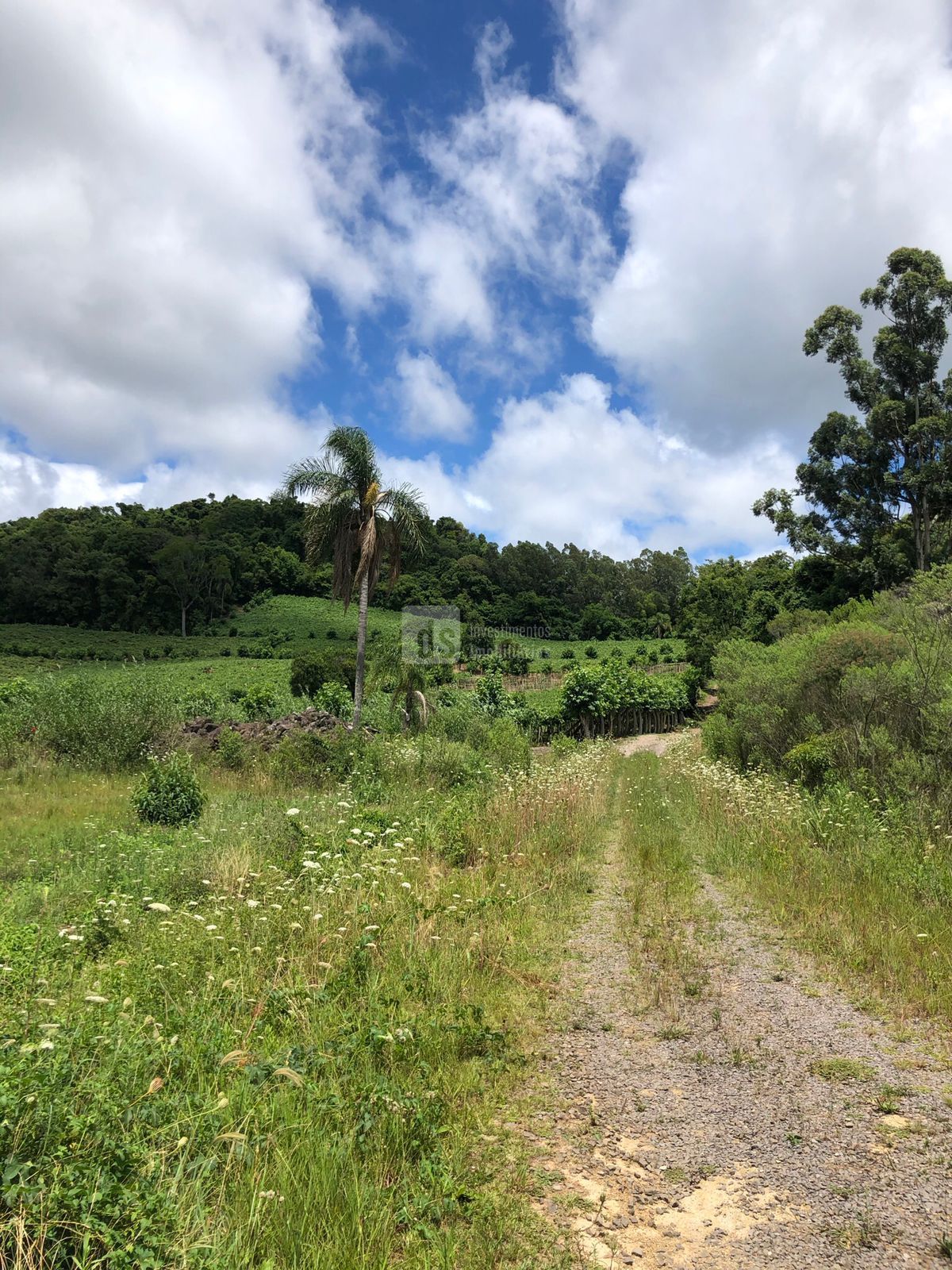 Loteamento e Condomínio à venda, 24000m² - Foto 6