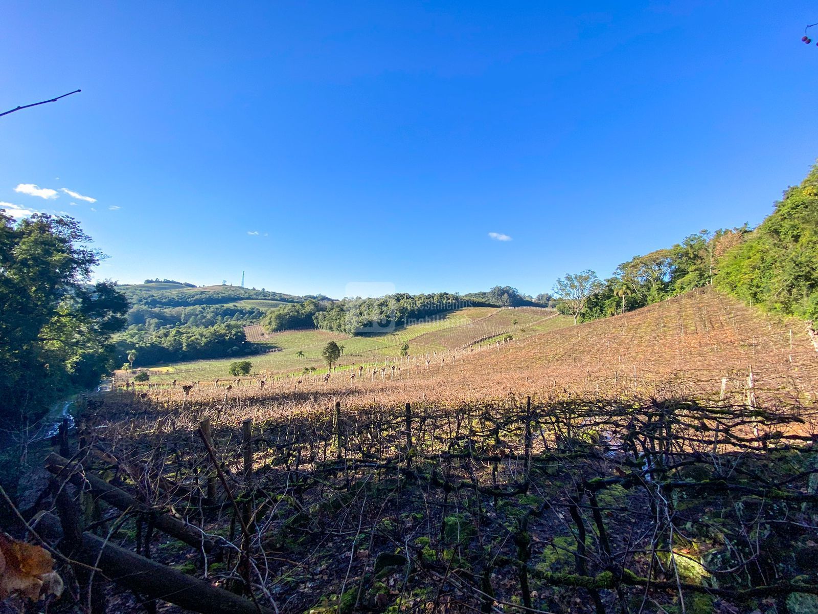 Loteamento e Condomínio à venda, 24000m² - Foto 8