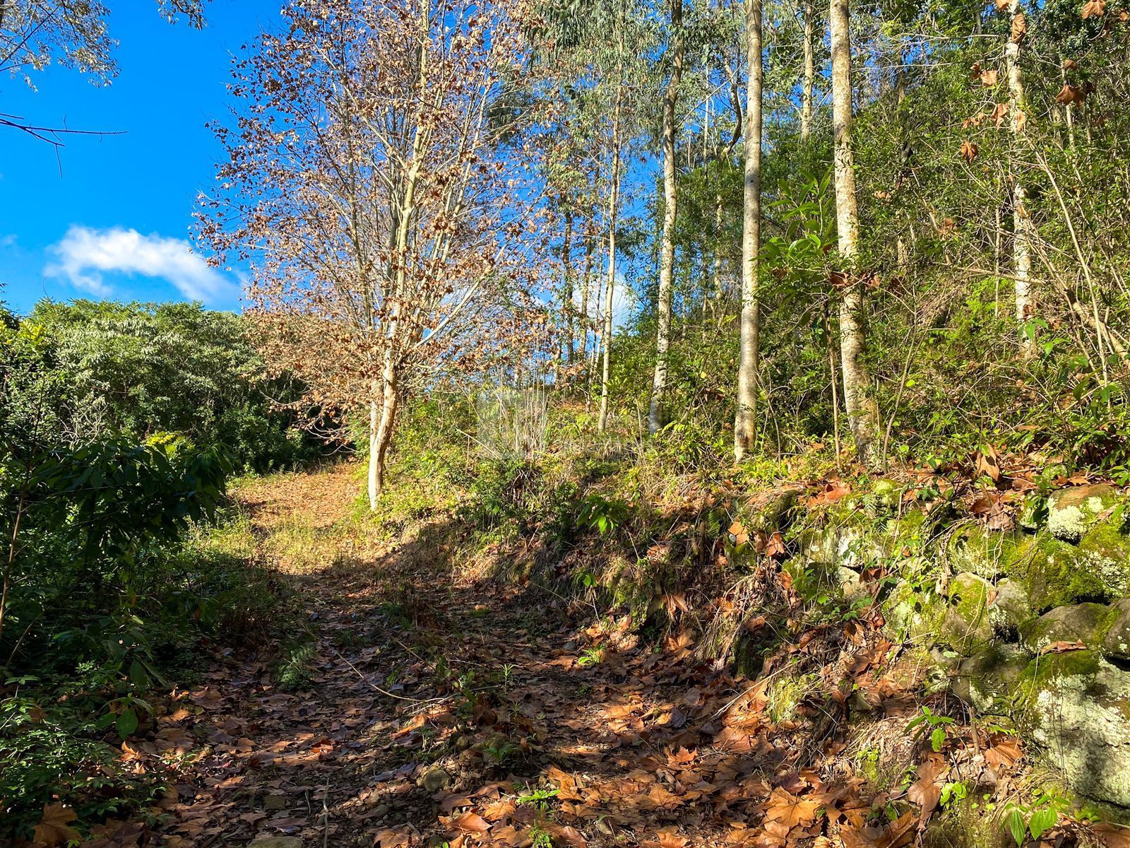 Loteamento e Condomínio à venda, 24000m² - Foto 22