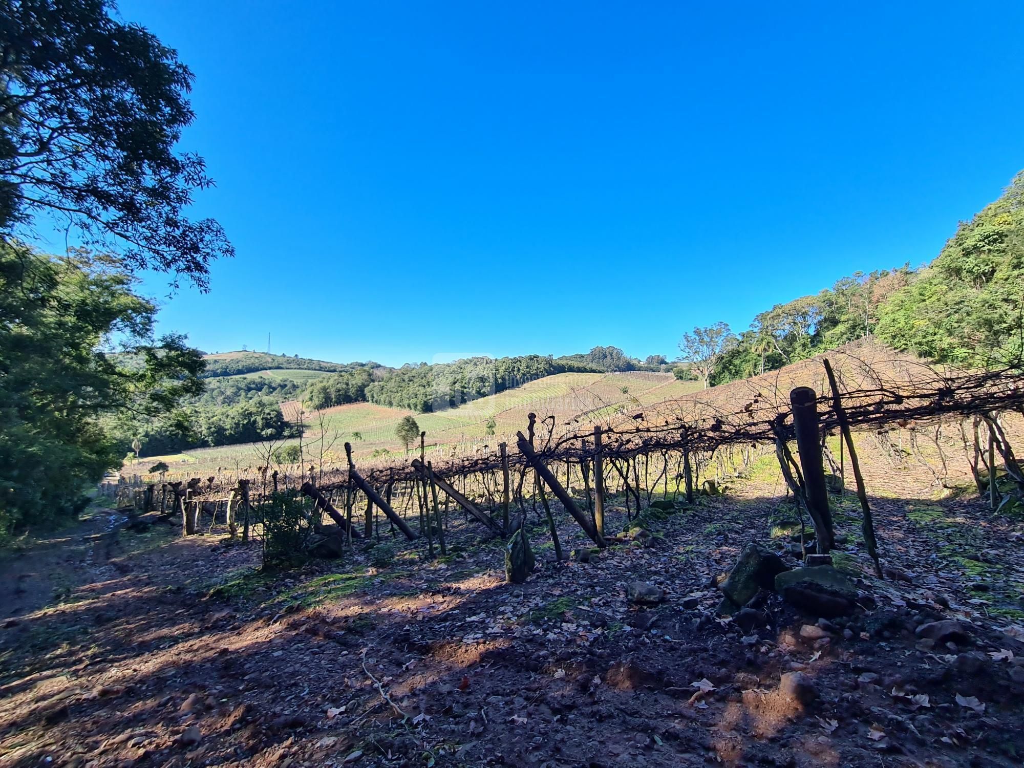 Loteamento e Condomínio à venda, 24000m² - Foto 7