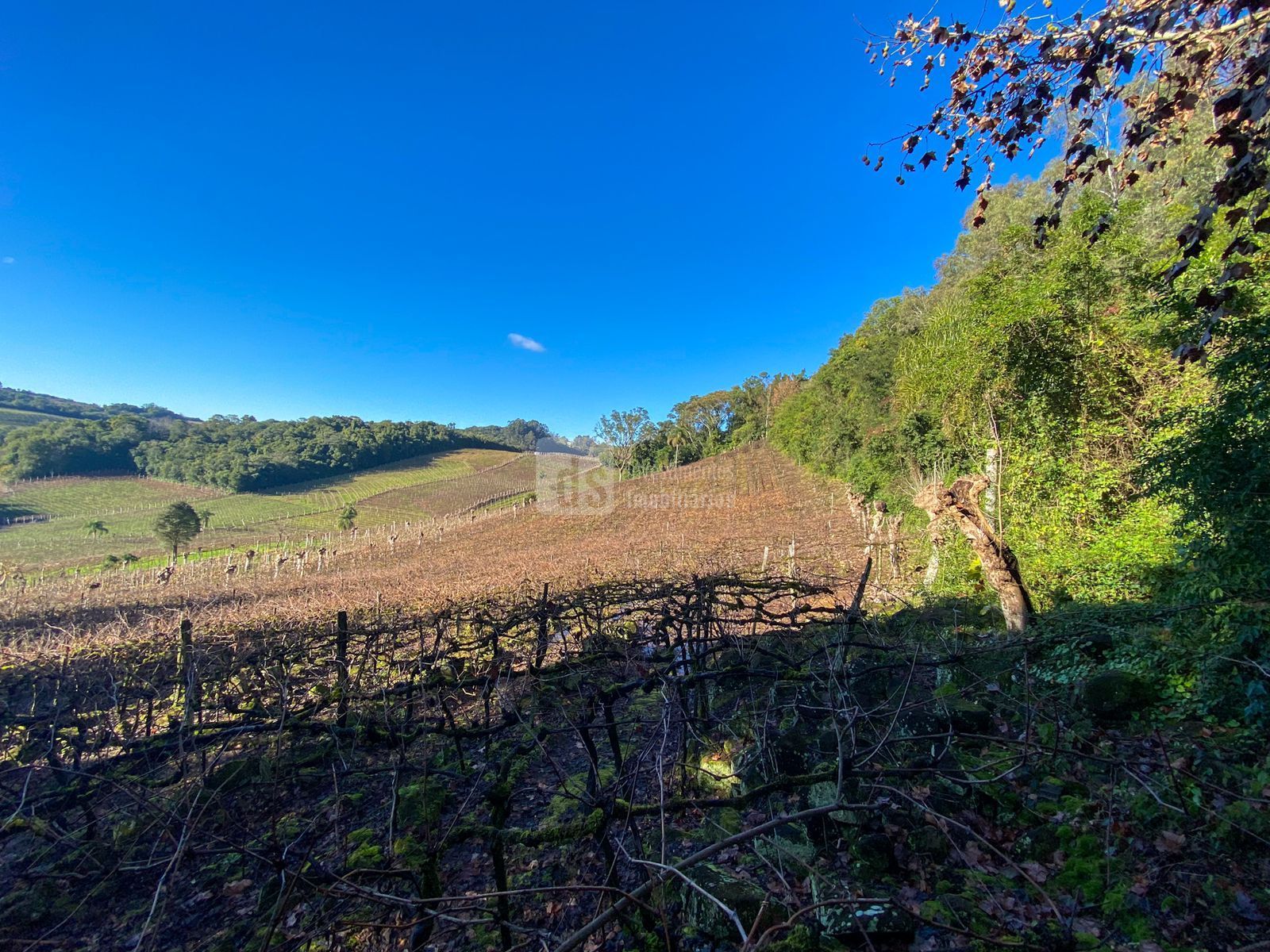 Loteamento e Condomínio à venda, 24000m² - Foto 10