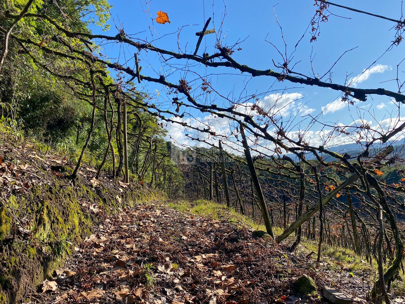 Loteamento e Condomínio à venda, 24000m² - Foto 13