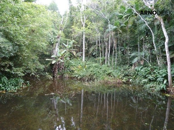 Terreno à venda, 170000m² - Foto 52