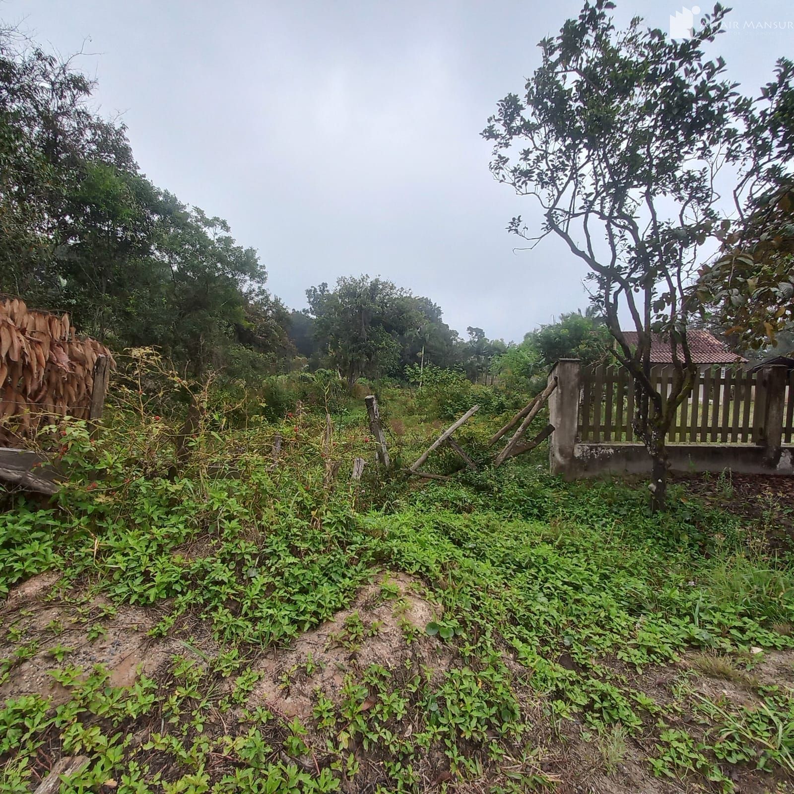 Terreno/Lote  venda  no Vila da Gloria - So Francisco do Sul, SC. Imveis