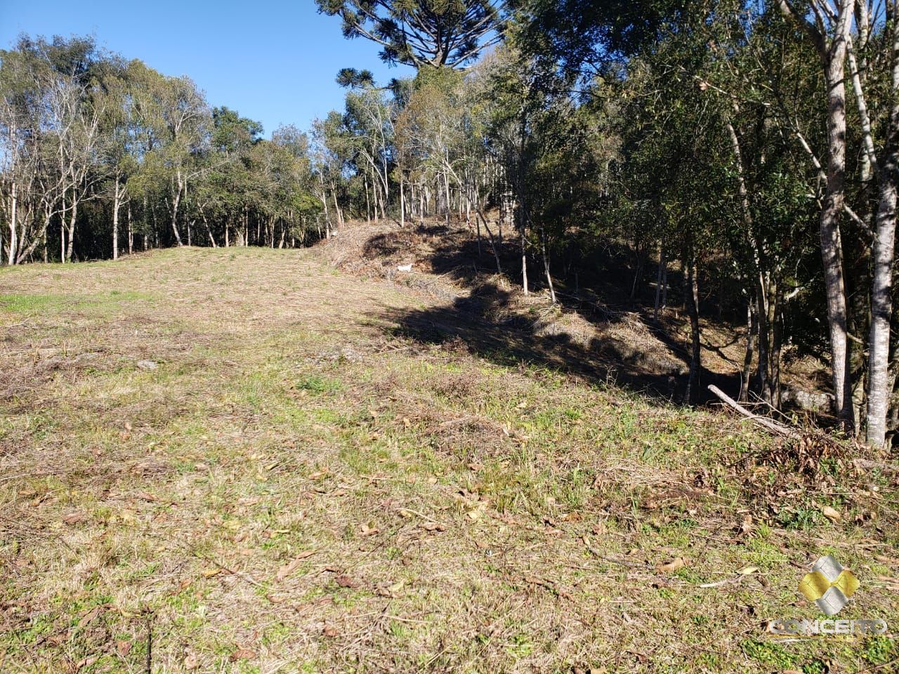 Terreno/Lote  venda  no Vale dos Vinhedos - Bento Gonalves, RS. Imveis