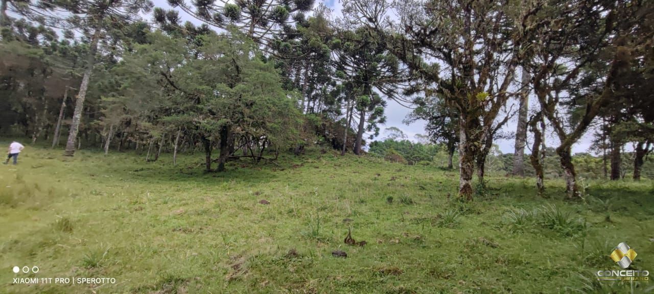 Terreno à venda com 1 quarto, 560000m² - Foto 5
