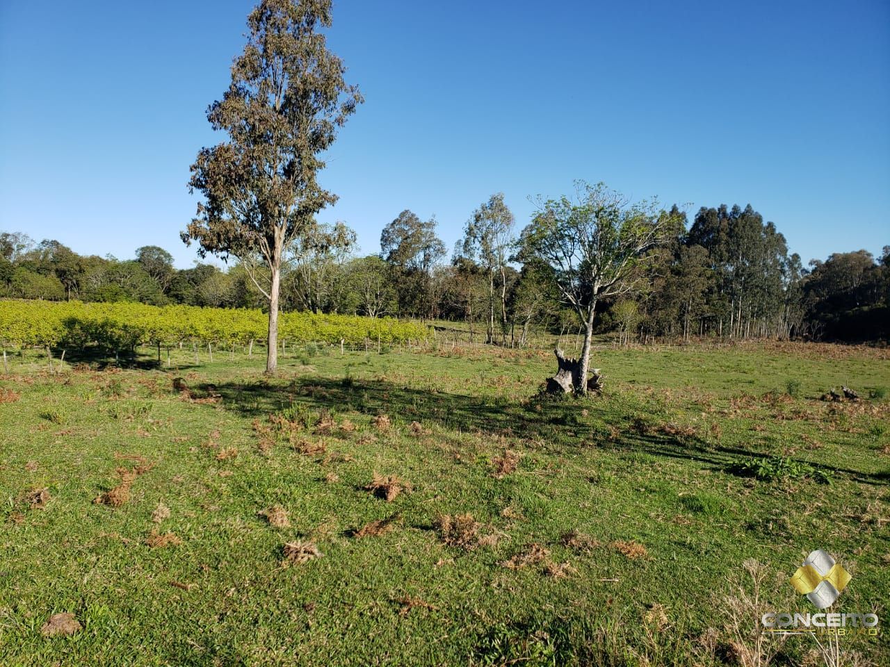 Loteamento e Condomínio à venda, 20000m² - Foto 13