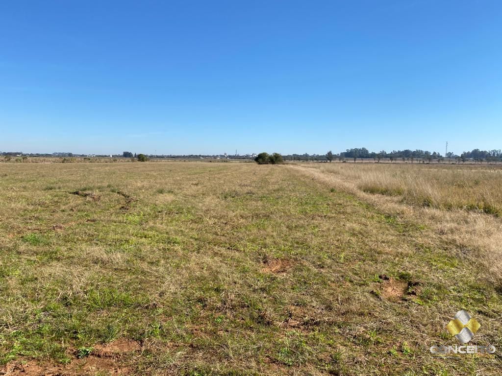Terreno à venda, 6300000m² - Foto 20