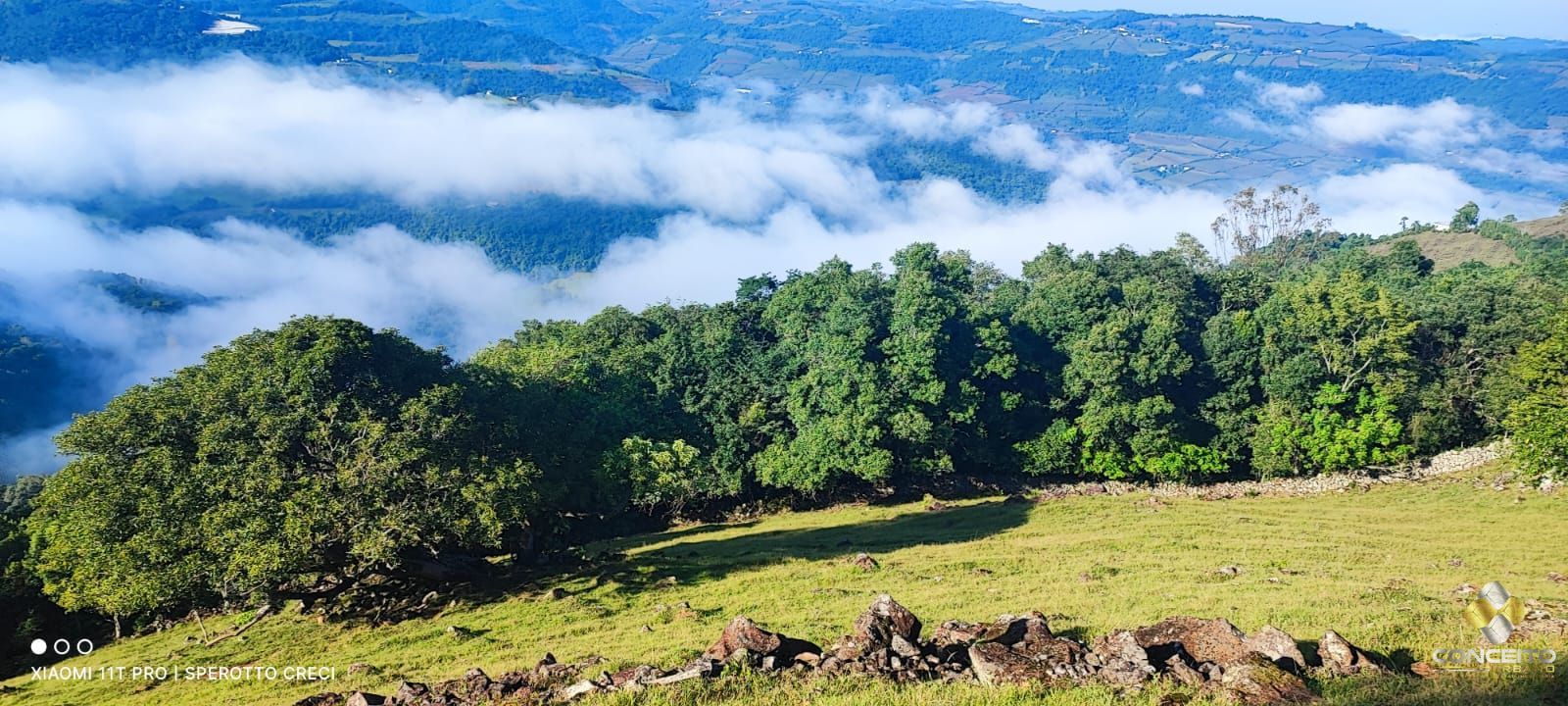 Terreno à venda, 20000m² - Foto 59
