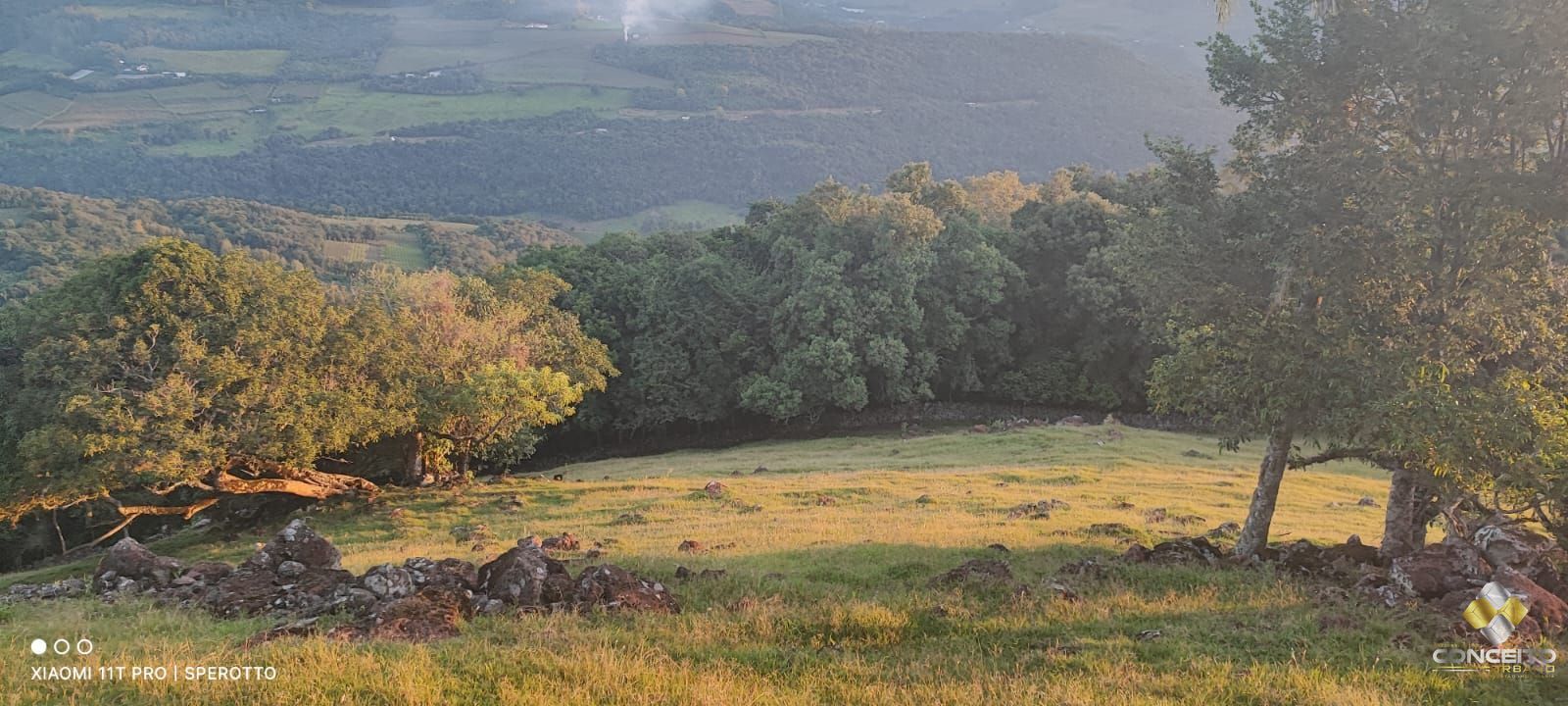 Terreno à venda, 20000m² - Foto 20