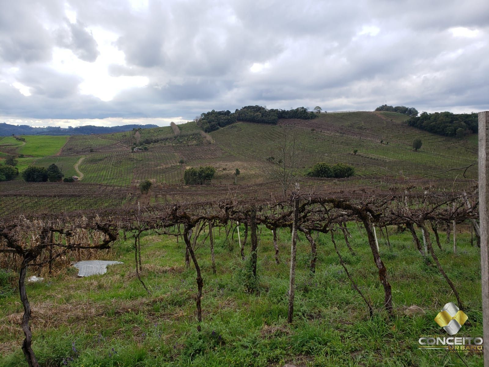 Terreno/Lote  venda  no Vale dos Vinhedos - Bento Gonalves, RS. Imveis