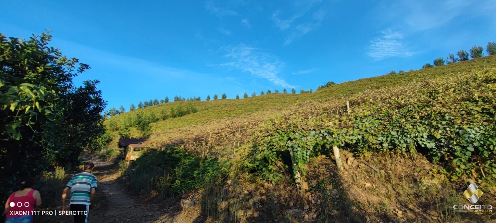 Loteamento e Condomínio à venda, 60000m² - Foto 13
