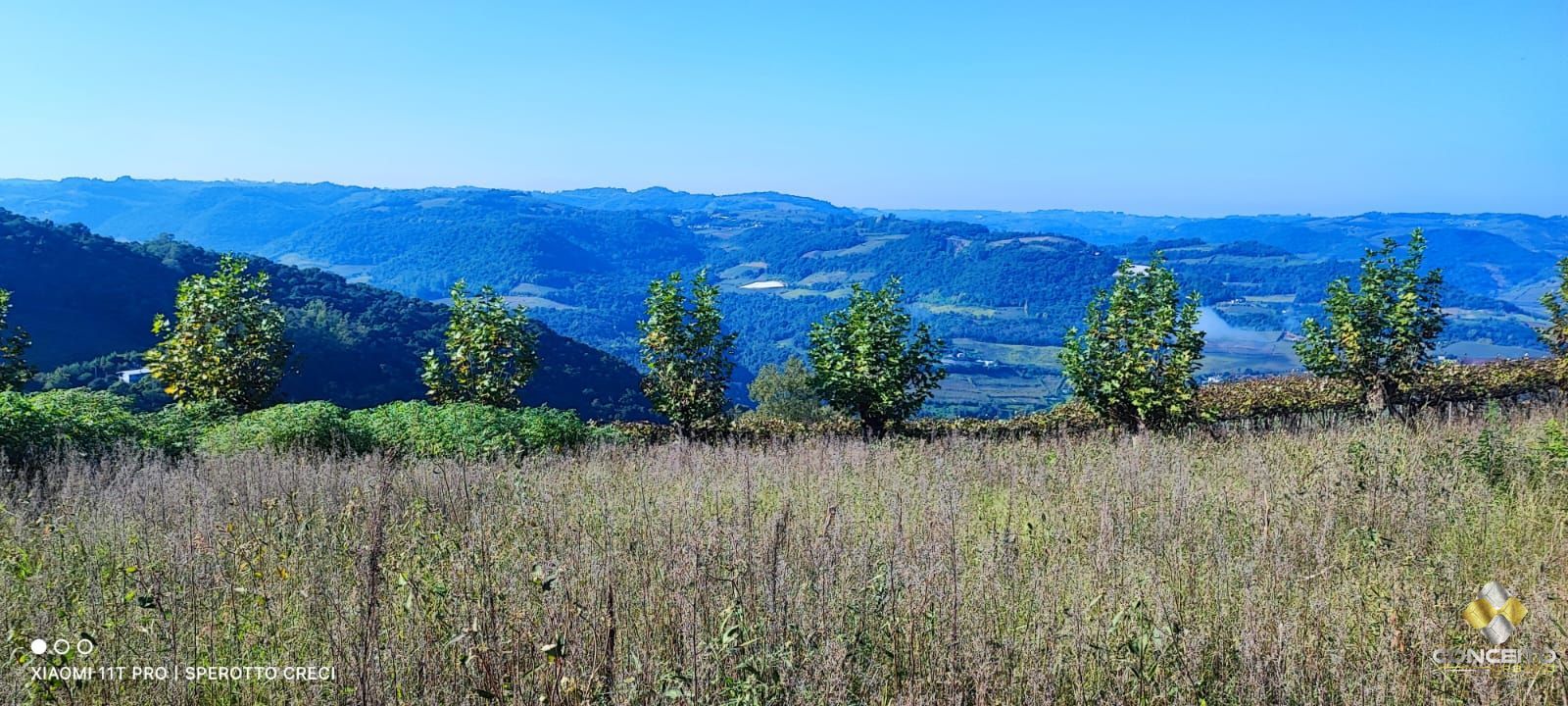 Terreno à venda, 20000m² - Foto 54
