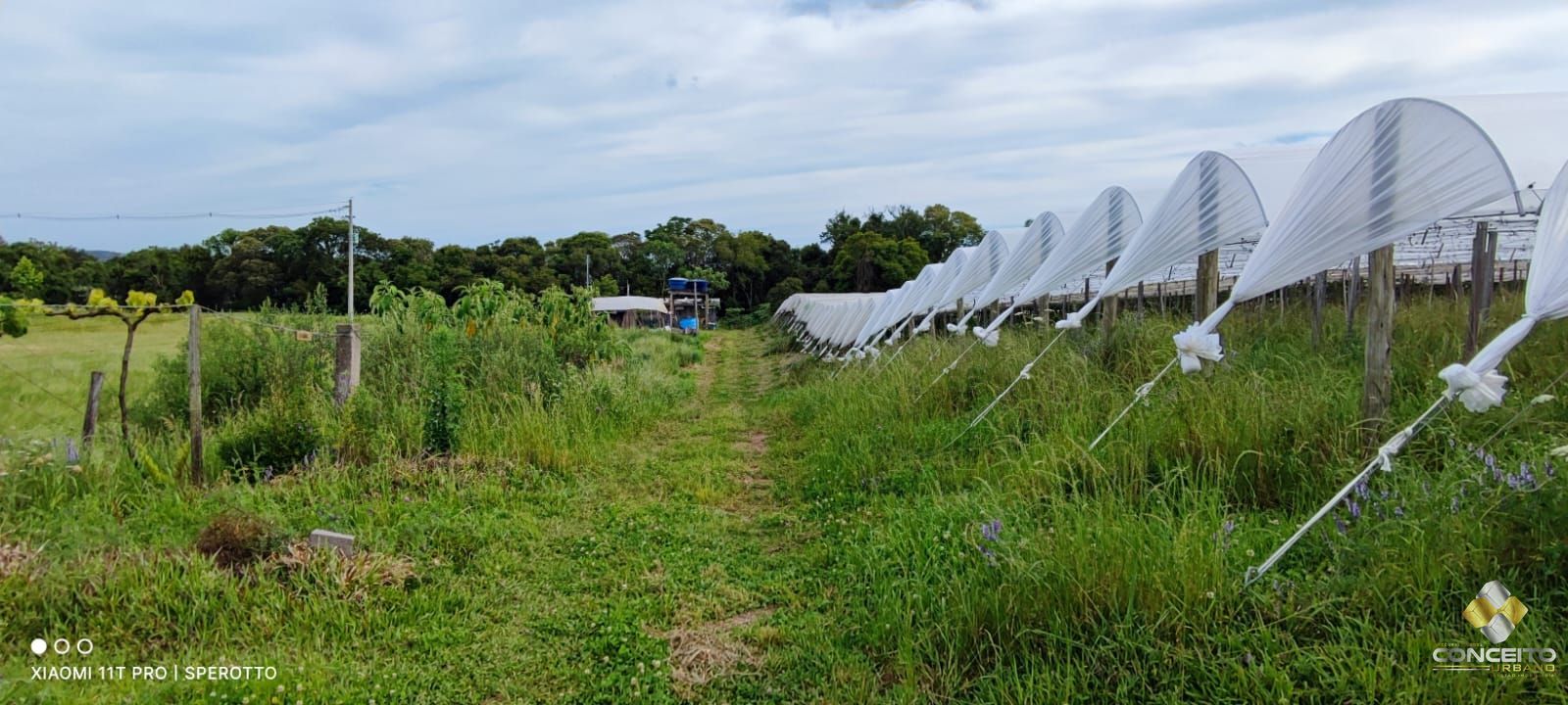 Terreno à venda, 107000m² - Foto 22