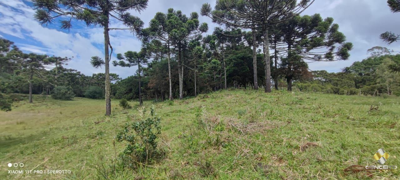 Terreno à venda com 1 quarto, 560000m² - Foto 14