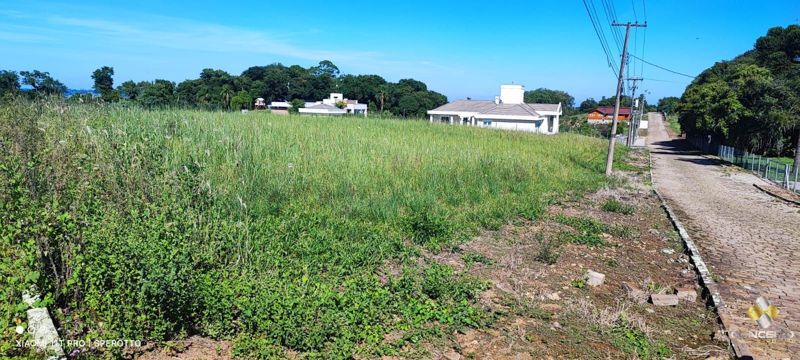 Terreno à venda, 10000m² - Foto 6