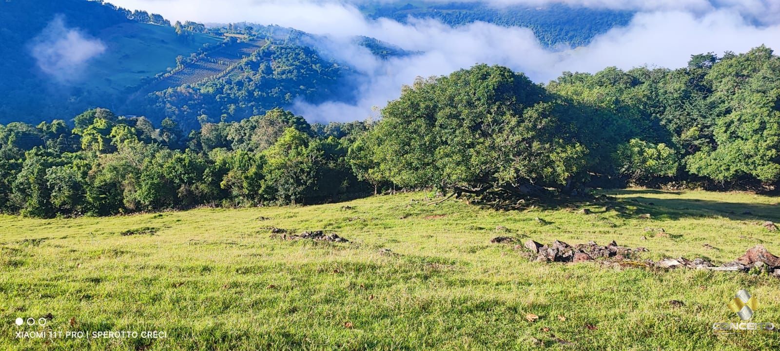 Terreno à venda, 20000m² - Foto 57