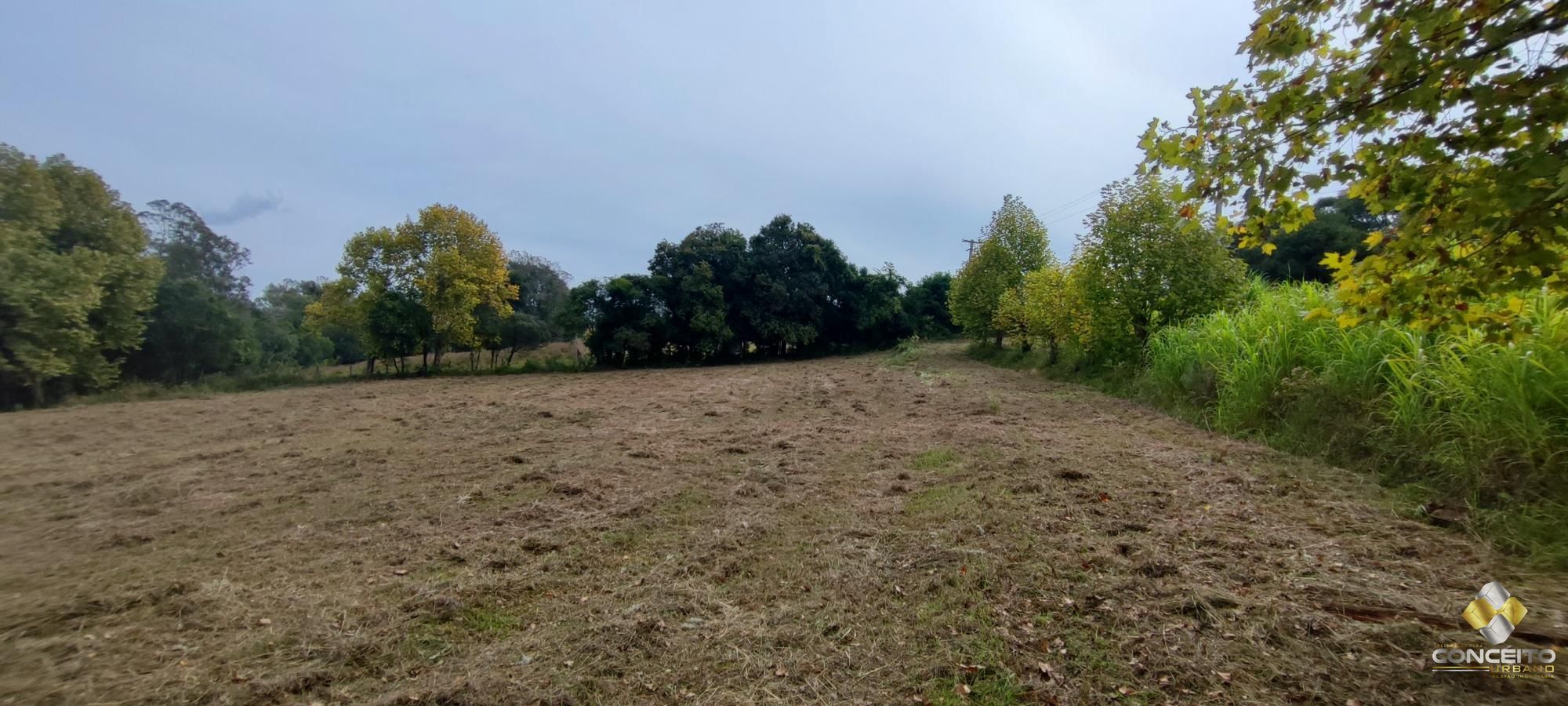 img155140572