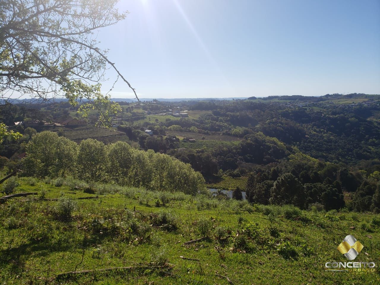 Loteamento e Condomínio à venda, 20000m² - Foto 11